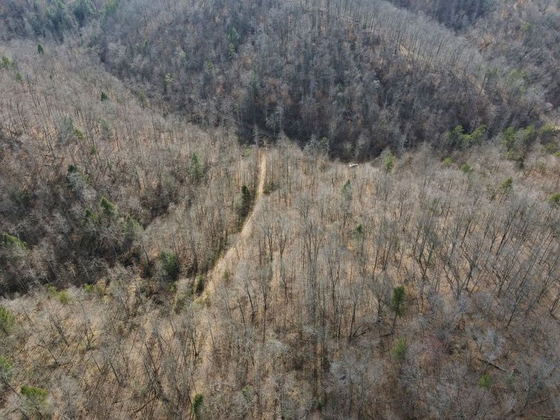 009 aerial view looking down towards the nice flats along the creek-2