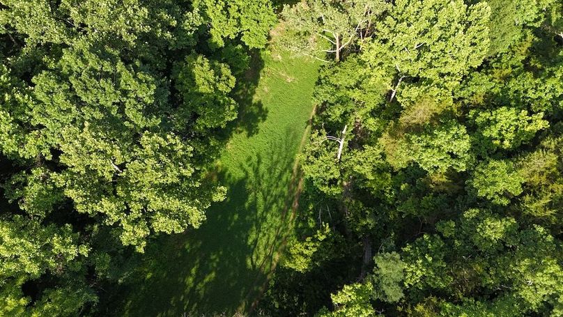 DJI_20250712095646_0771_D