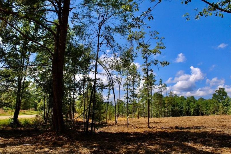 ACFEFE1D-0111-4467-8346-4DEB225BFF52_1_105_c