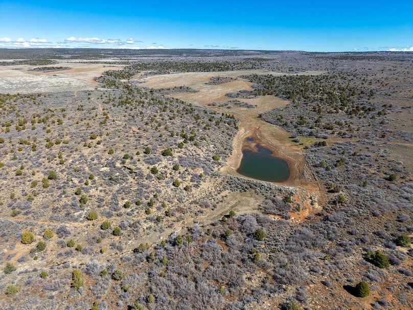 DJI_20260303122645_0062_D