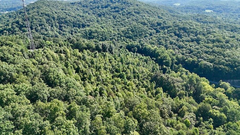 DJI_20250726095158_0052_D