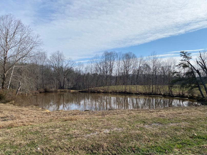 016 another of the many spring fed ponds copy