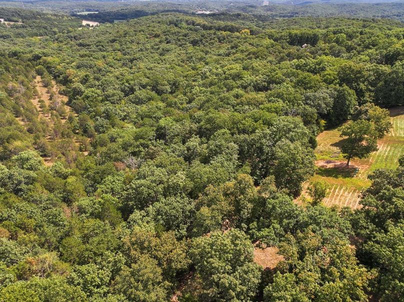 DJI_20250903120717_0551_D Large