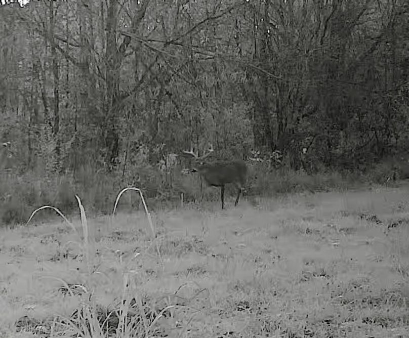 4D7EB15A-6F6B-47FA-8950-4036E263645F_1_201_a