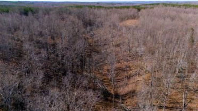 MCKINNON TRACT 17-20