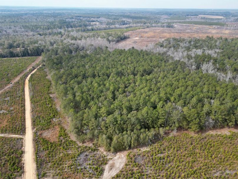 dji_fly_20260203_142344_661_1770146721751_photo