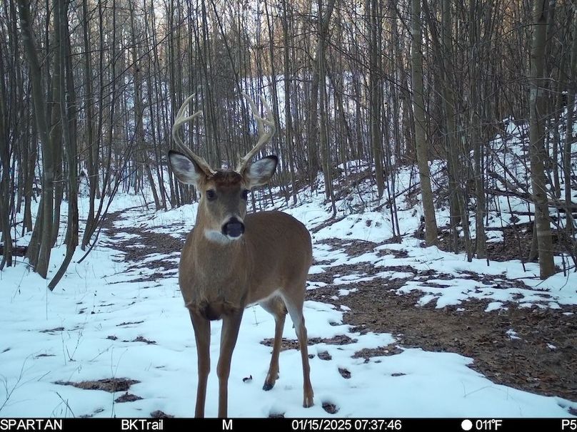 trail cam15