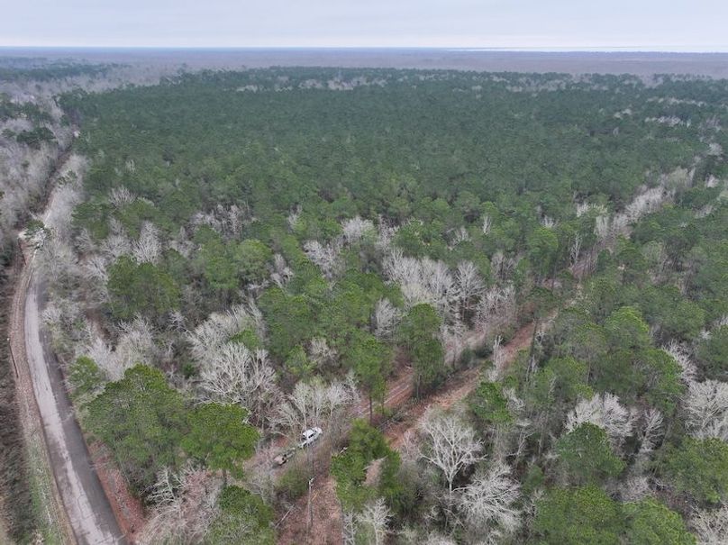 dji_fly_20260123_105122_0892_1769444800481_photo