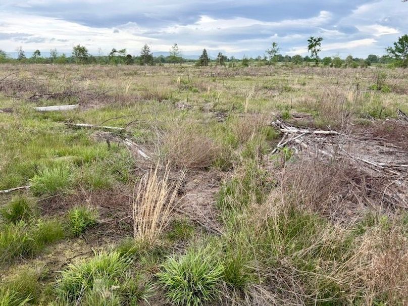 703D6525-B8A5-4AD3-BD8C-F9C37418A87F_1_105_c