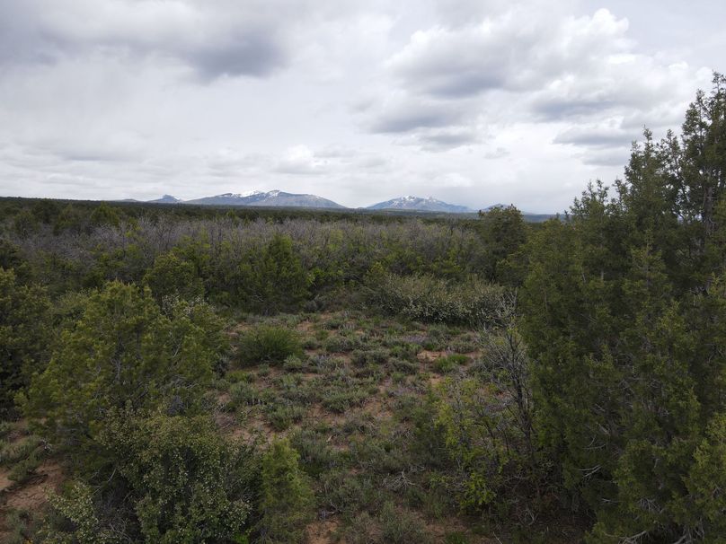 dji_export_1685968221838