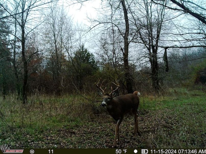 fullversion-a985ba1240ab90c20edb9b9f846c3771cea58319 (1)