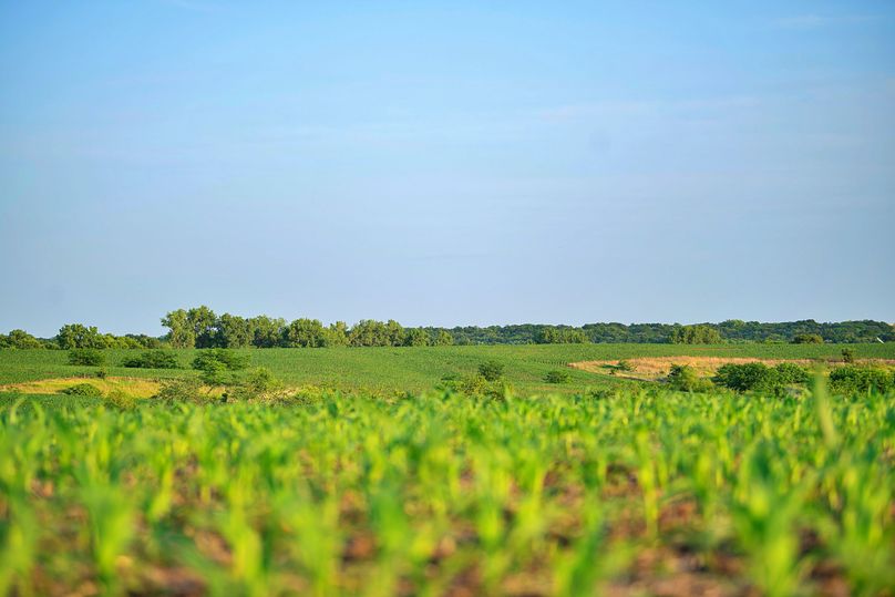 Harrison MO 480 Pro Photo_230 (1)