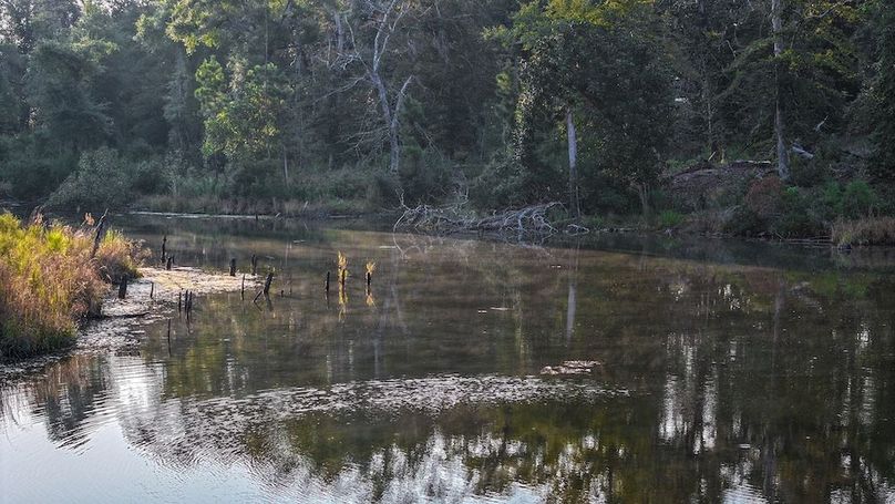 DJI_20250918074724_0101_D