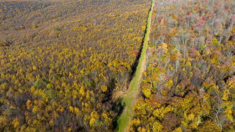 Elk PA 7000 Feature_Pro Photo-98