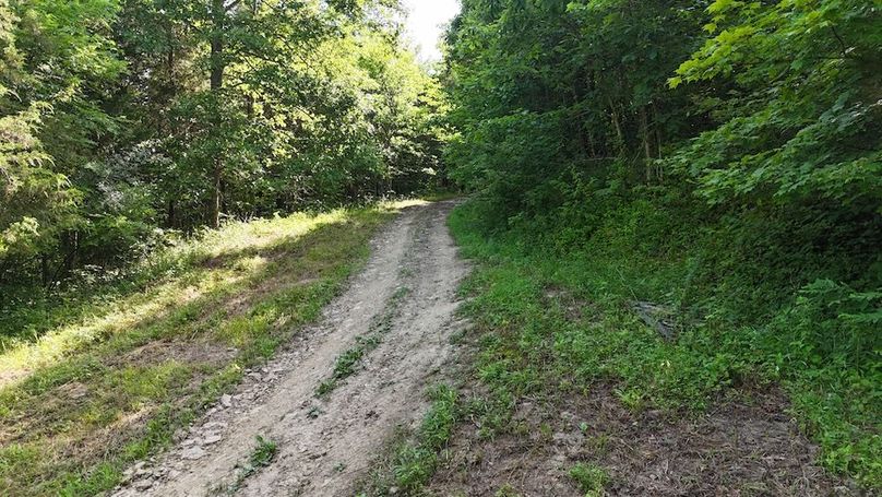 DJI_20250712102729_0783_D