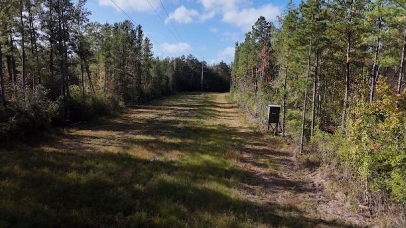 DJI_20231026101433_0009_D