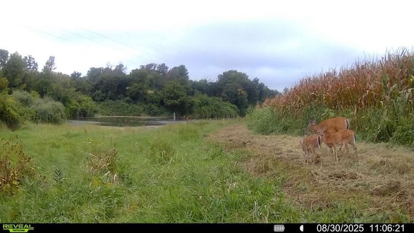 016579006920529-100-4-08302025110621-SYFW00077