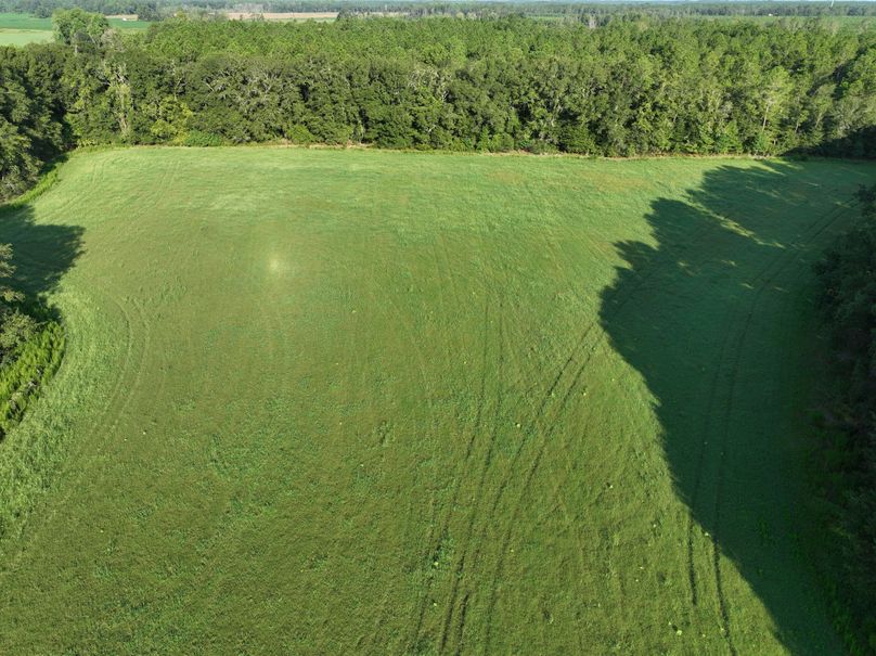 dji_fly_20230813_084038_542_1691930543788_photo