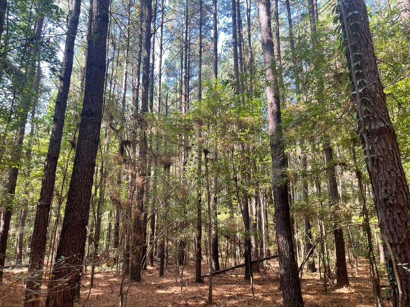 3F48052C-E801-4FB3-AB8B-0AD35E0E1BC7_1_105_c