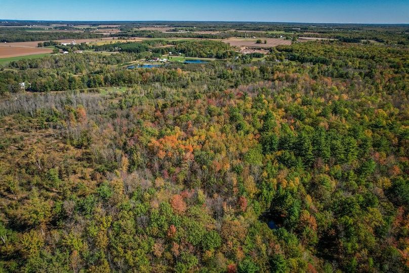 Wood 41.451, Collins -48