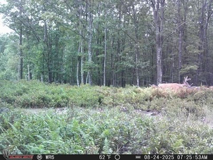 3DD92CFC-620D-43A0-B5C2-AC4C3938826C_4_5005_c