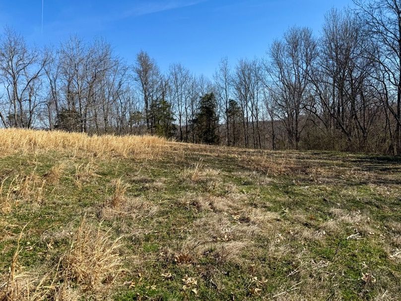 Fleming Petry 120-055