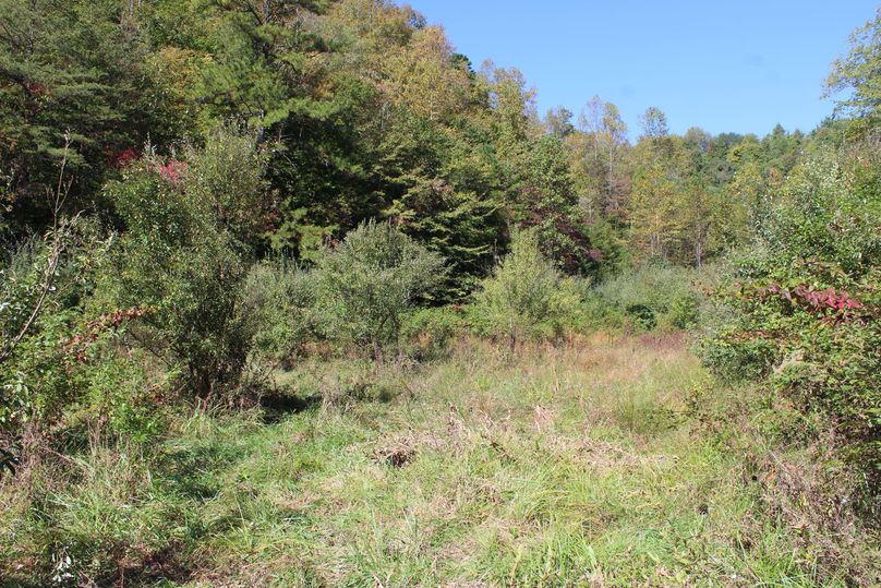 017 open field area near the barn along Spivey Br. Road