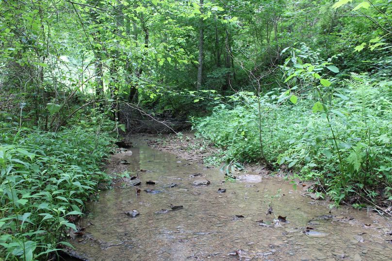 015 the intermittent stream leading out of the south valley