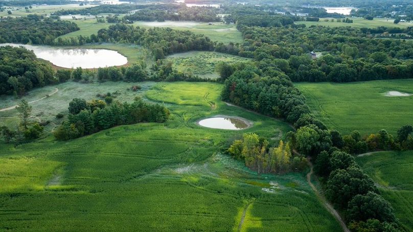 Lapeer MI 170 Featured_Pro Photo-73