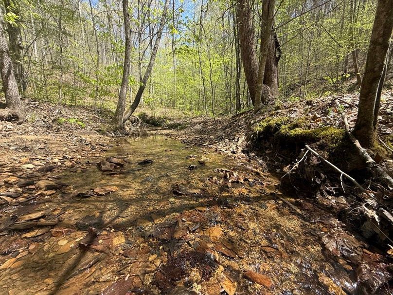 015 look at that clean mountain liquid life flowing!