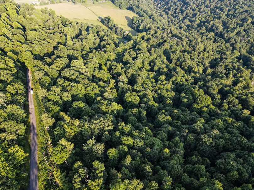 dji_fly_20240617_072240_762_1718623384357_photo 2