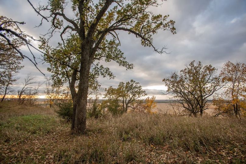 MONONA CO IA 14.95_18