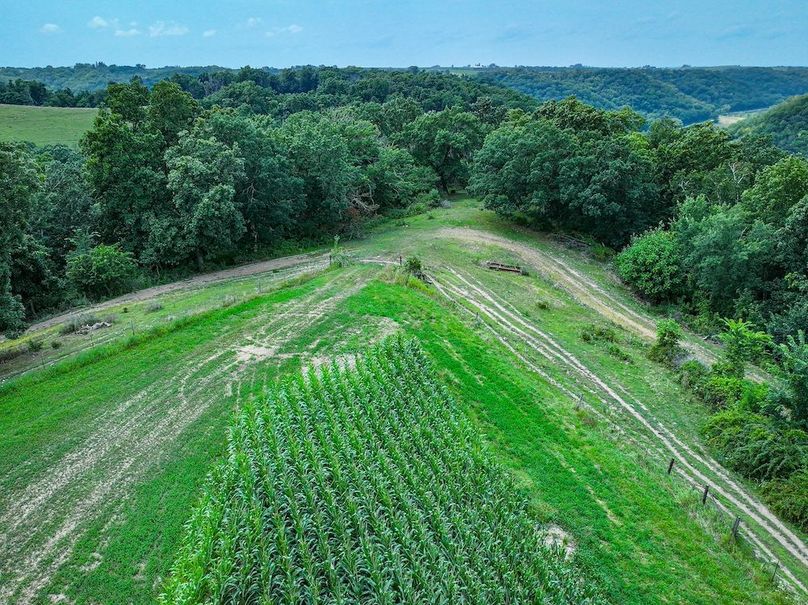 New Albin 8_8 edits-21