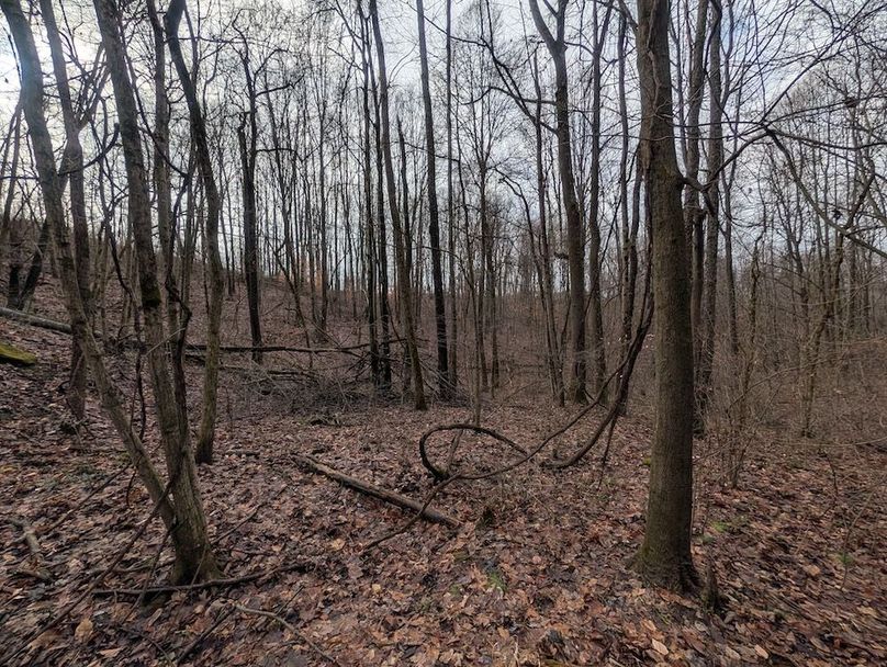 PXL_20260107_181219468.MP