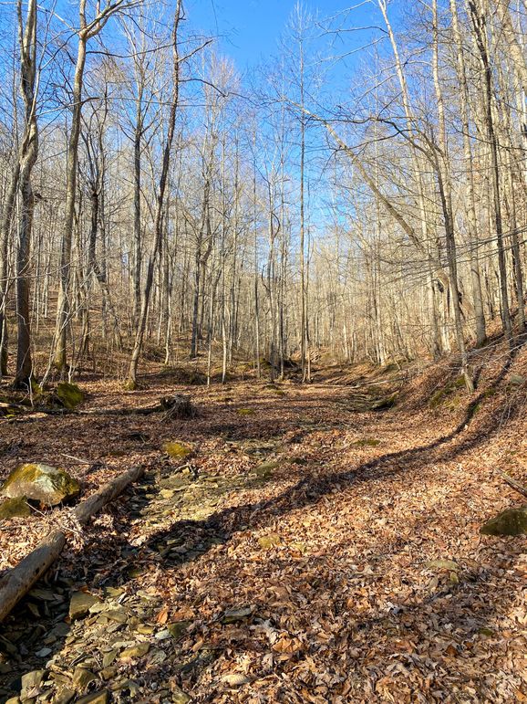 Lewis ky 304 Austin 015