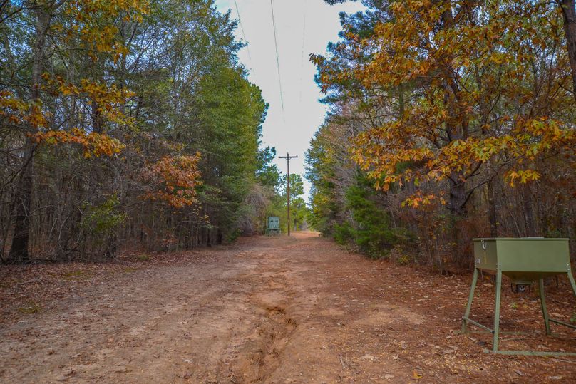 Hunting And Recreation Hideaway In East Texas Whitetail Properties