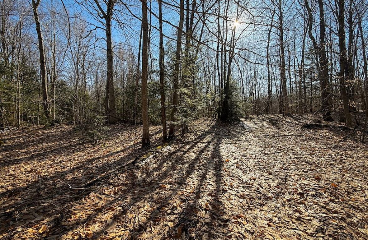 Oswego_16.32_Phillips Photo 1