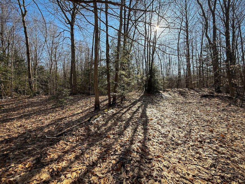 Oswego_16.32_Phillips Photo 1