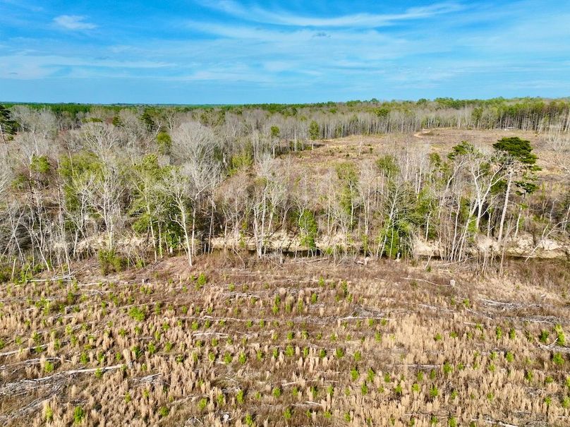 9294DC99-74F1-4C94-AB42-1307BBC605FF_1_201_a