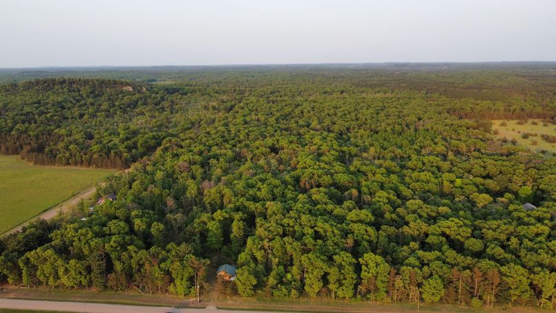 dji_fly_20230523_193616_500_1684889230311_photo_optimized