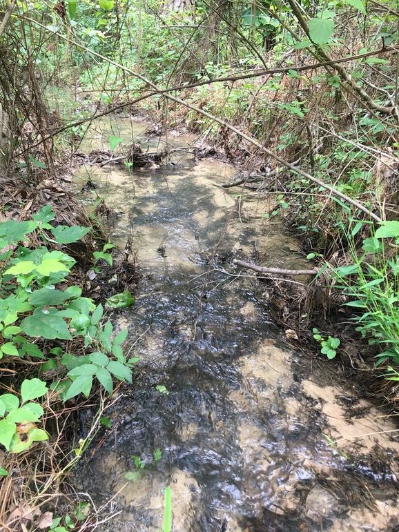 D016A471-352A-4D5F-B9C1-179675559CDB_1_105_c