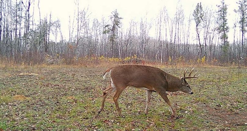 25103115183801000805 (1)