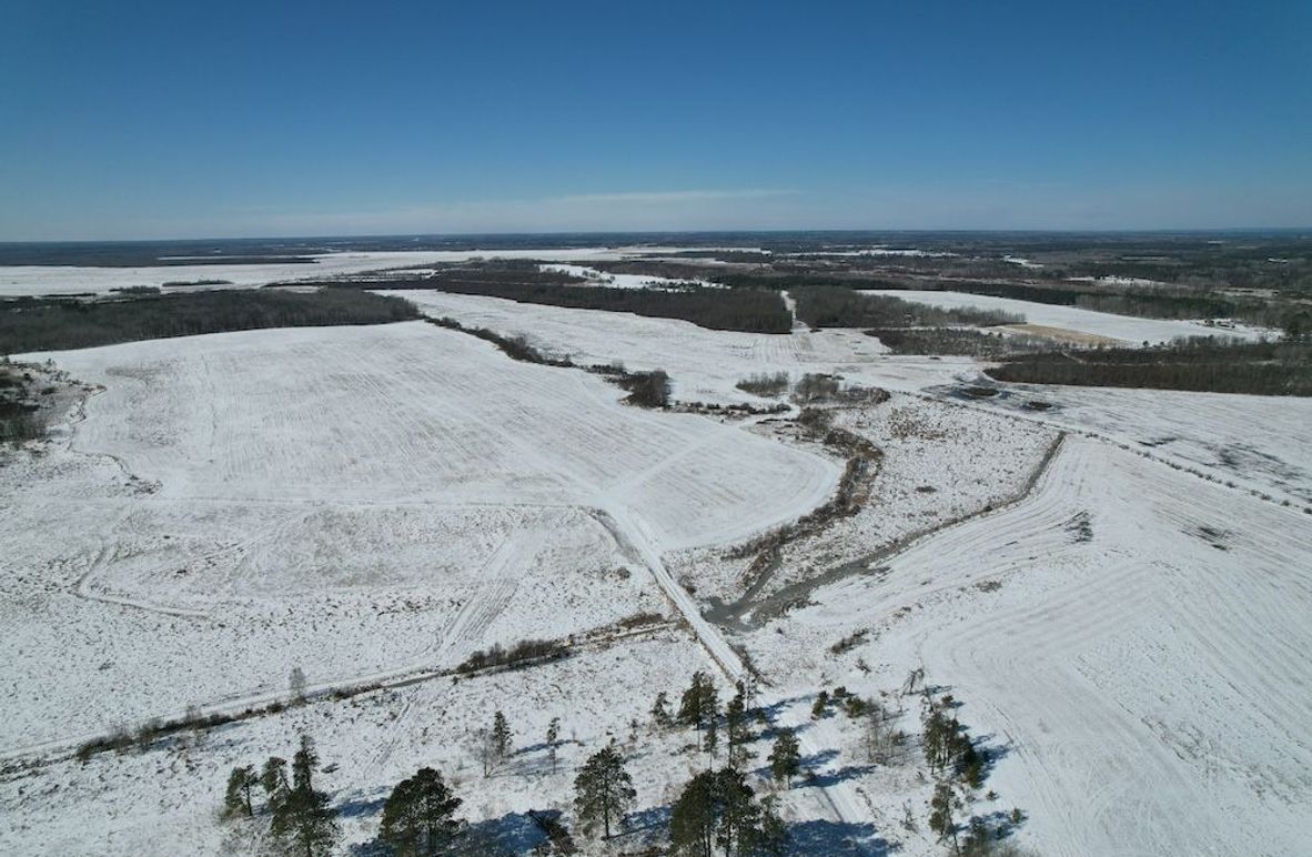 dji_fly_20260311_115052_97_1773248445386_photo (1)