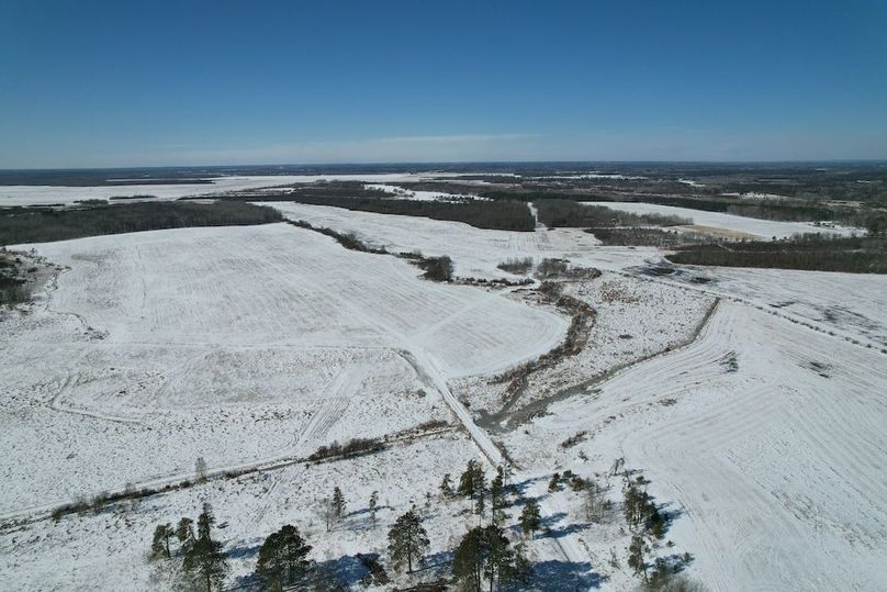 dji_fly_20260311_115052_97_1773248445386_photo (1)