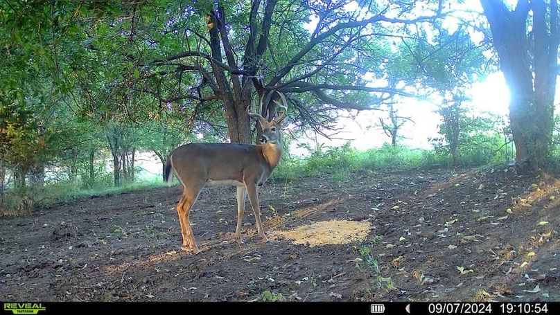 Trail Cam 1