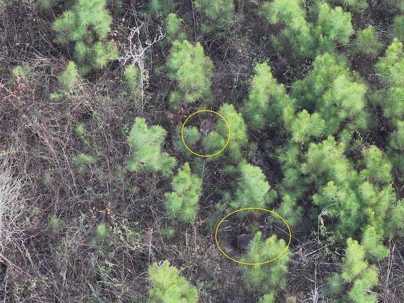 DJI_20260303145129_0021_V