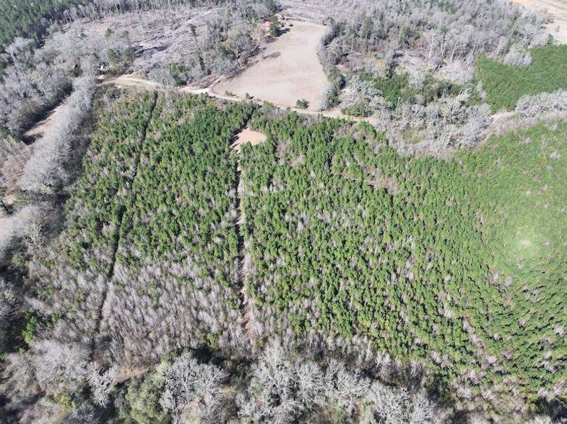 dji_fly_20260302_130530_0342_1772559699982_photo