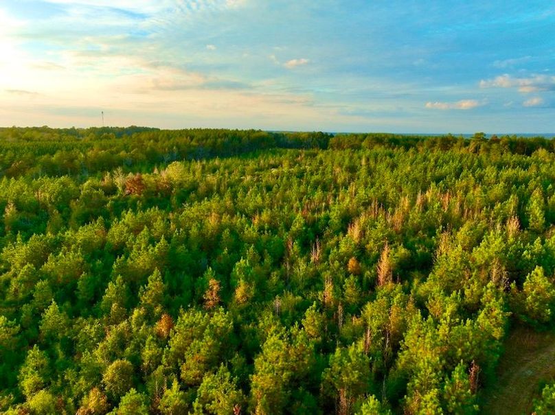 A0506890-1272-4CF4-89AB-8444B7AFE8D5_1_105_c