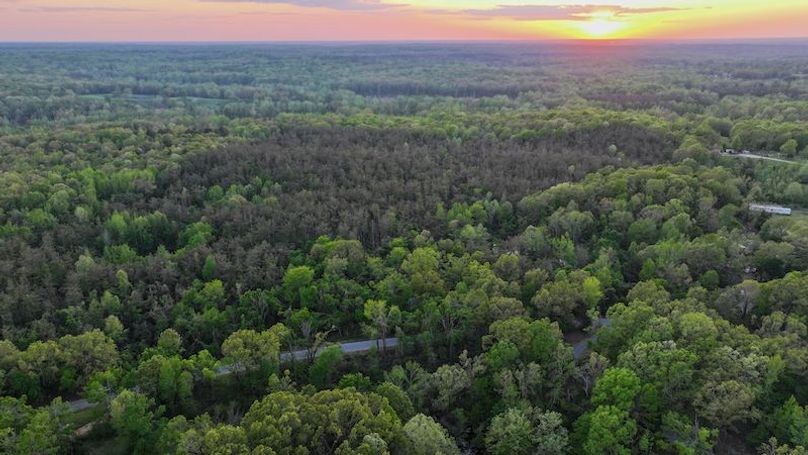 Tallahatchie 44 Newman (Crowden) Wide-51