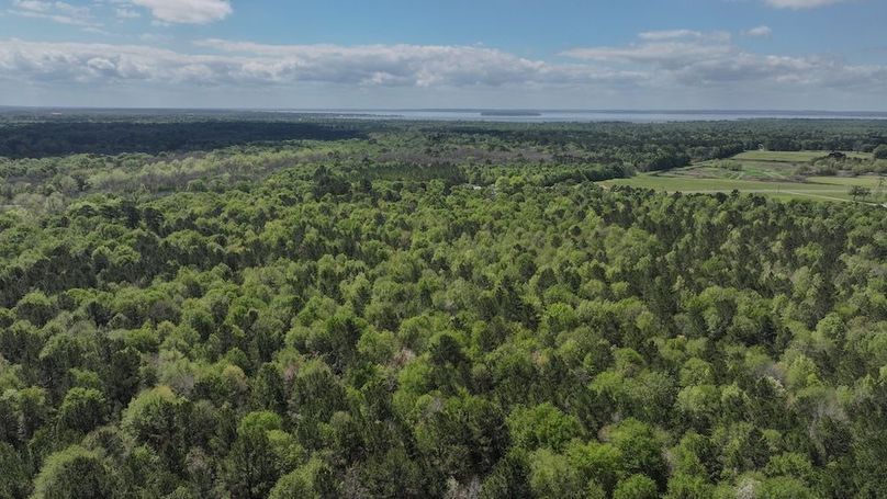 DJI_20260327114750_0013_D